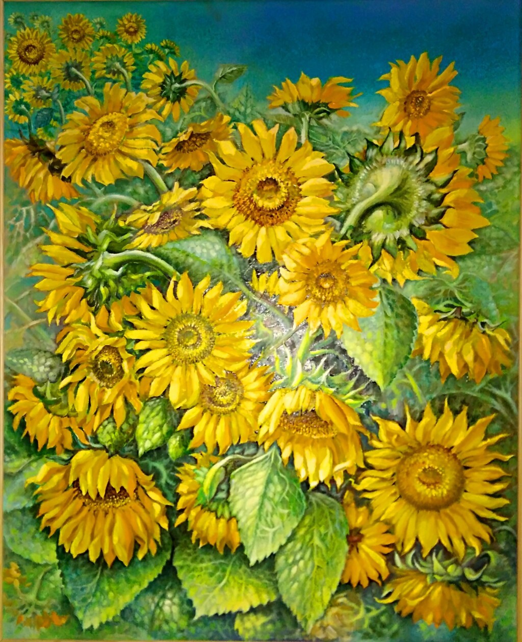 Подсолнухи