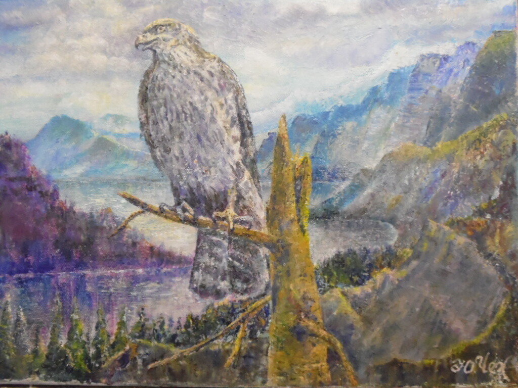 Сокол над Енисеем