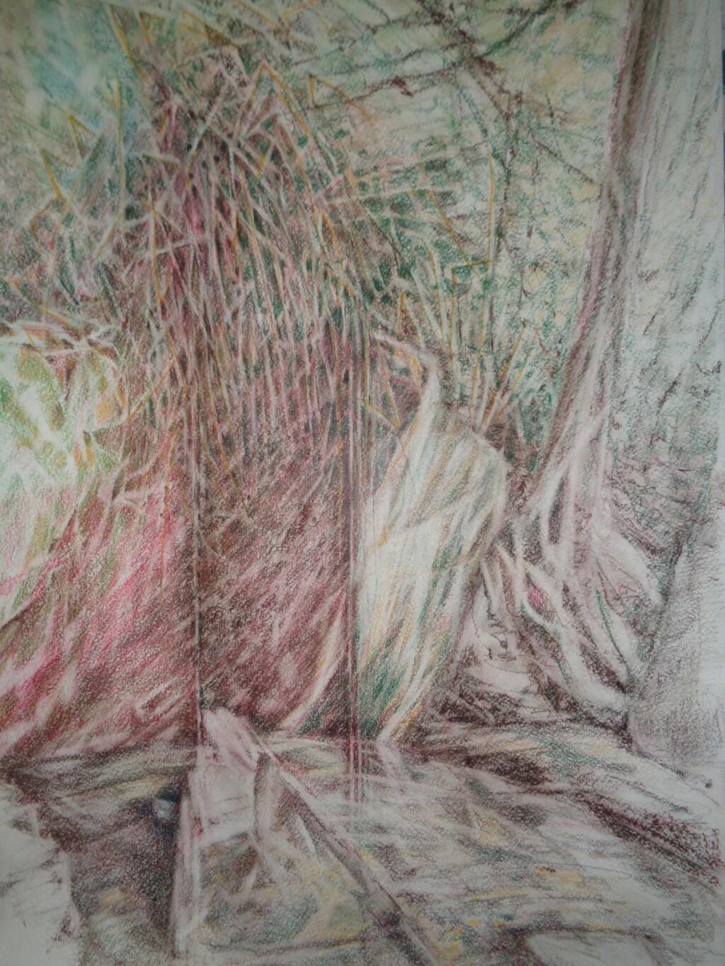 в летнем парке