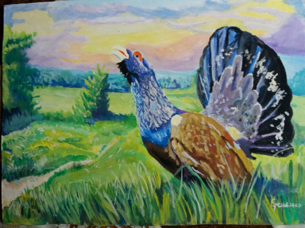 токующей глухарь