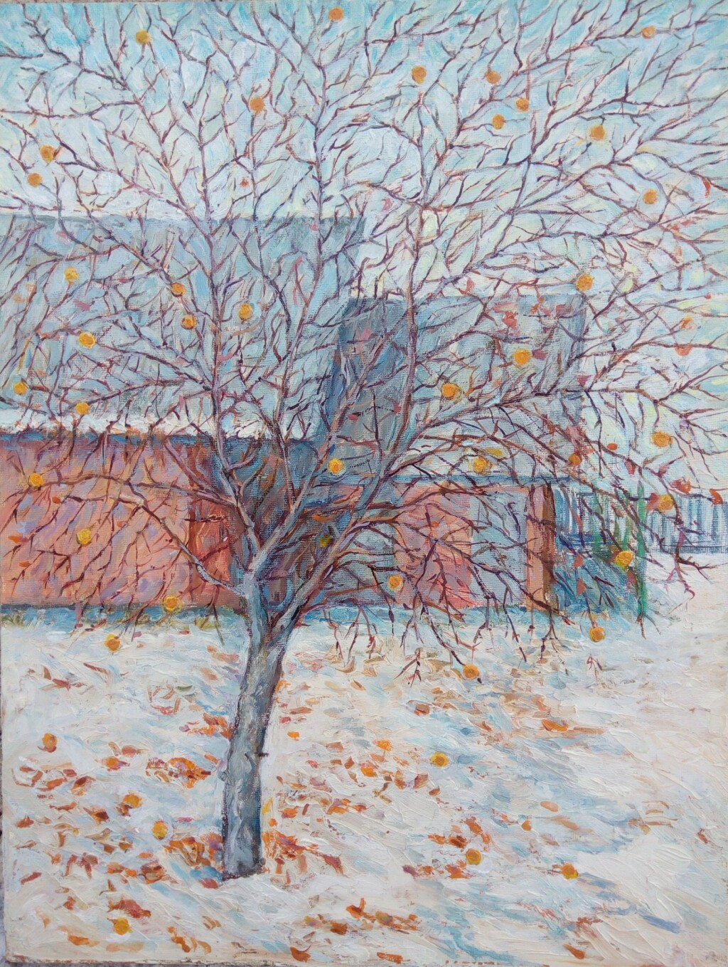 Зимние яблоки