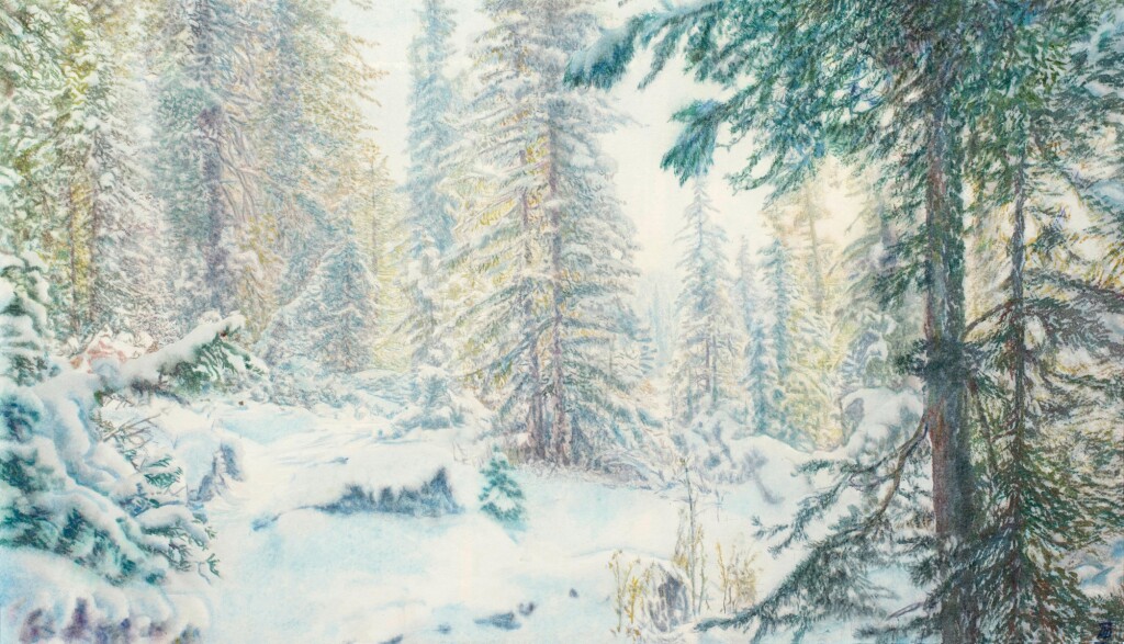 Снежная поляна