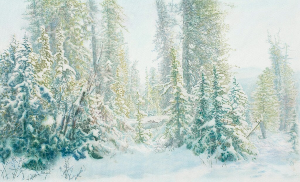 Снежные ёлки