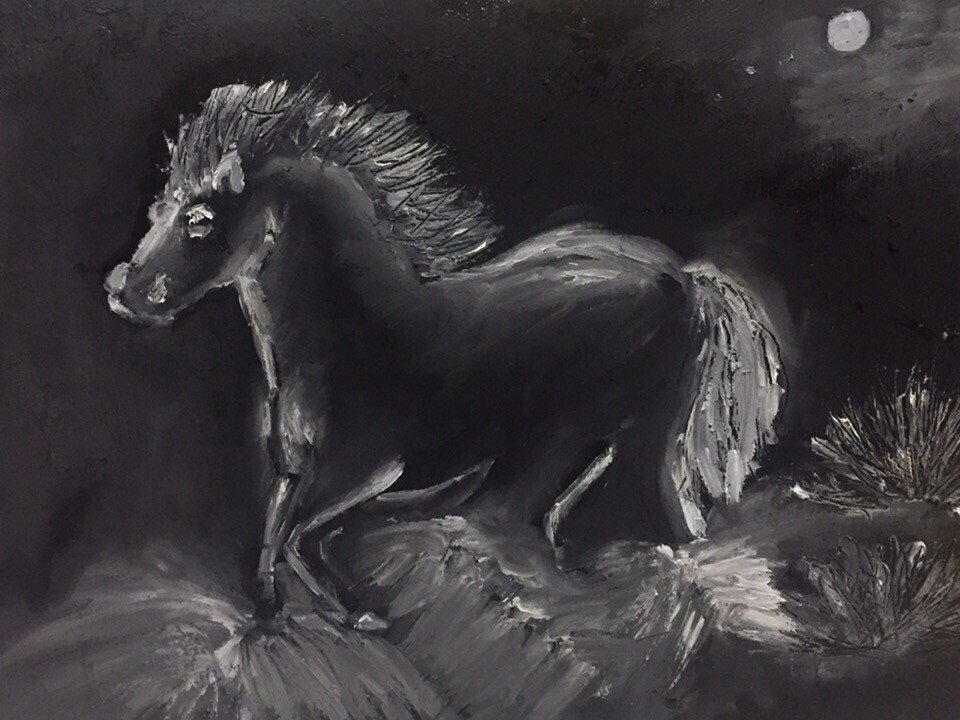 Ночная прогулка