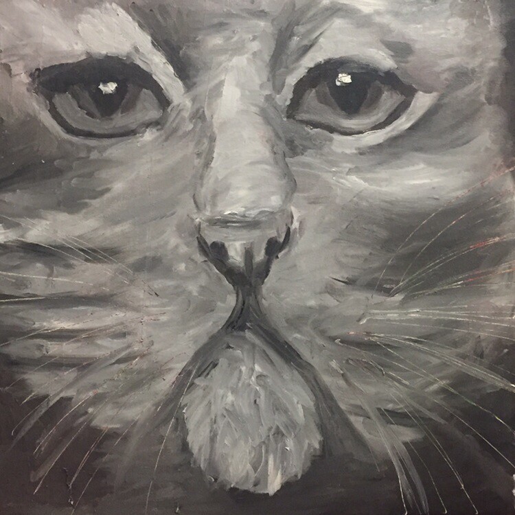 Эти черные глаза...