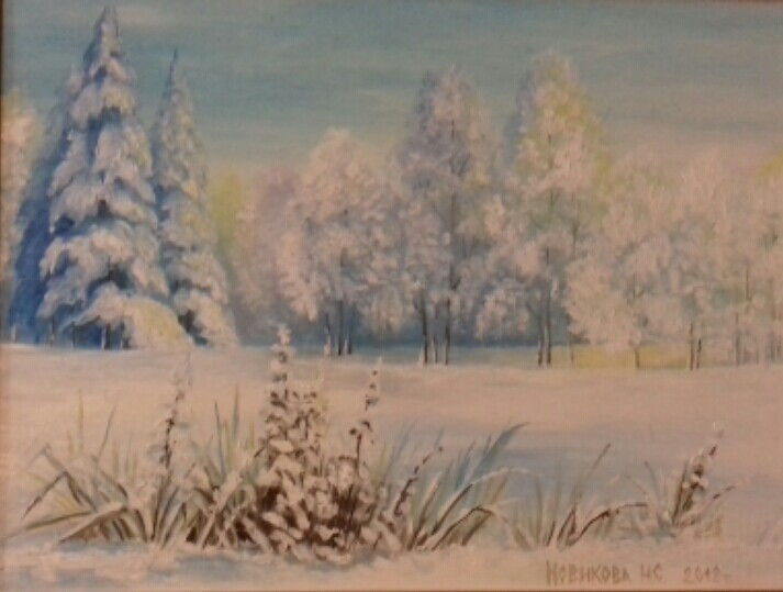 Морозный  день