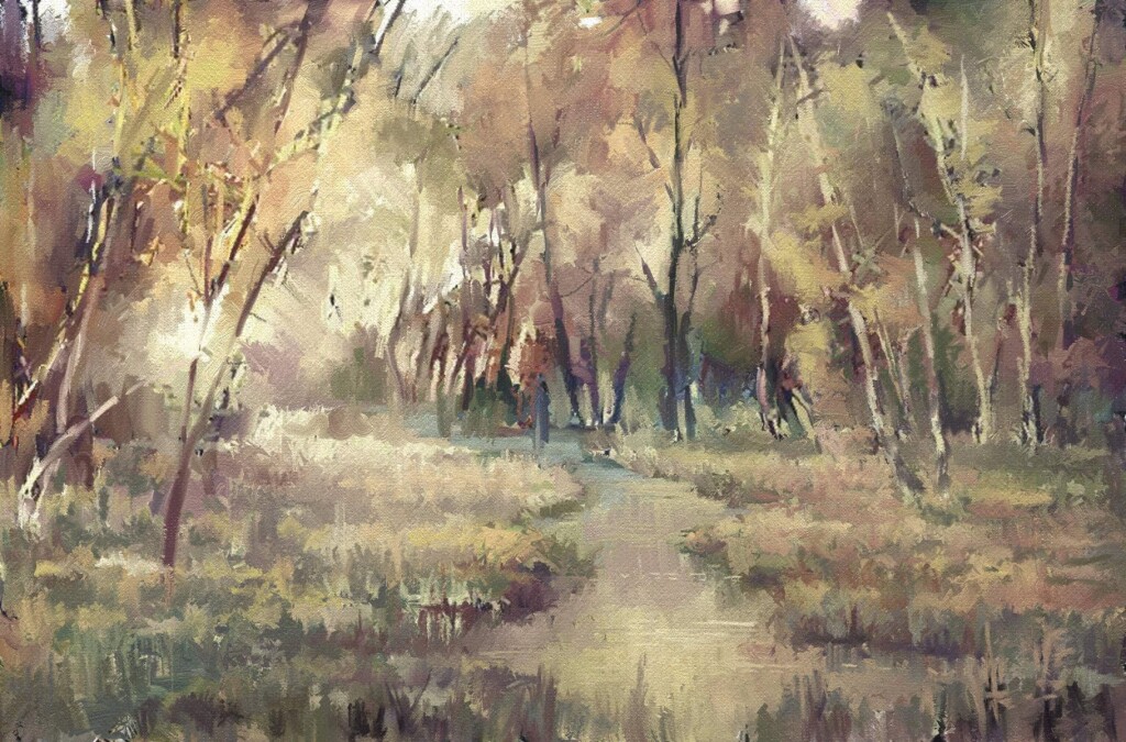 Лесной ручей