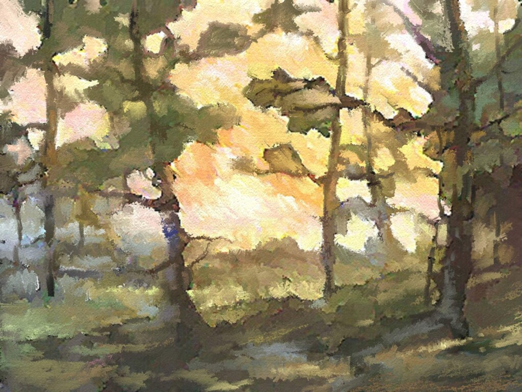 Среди деревьев