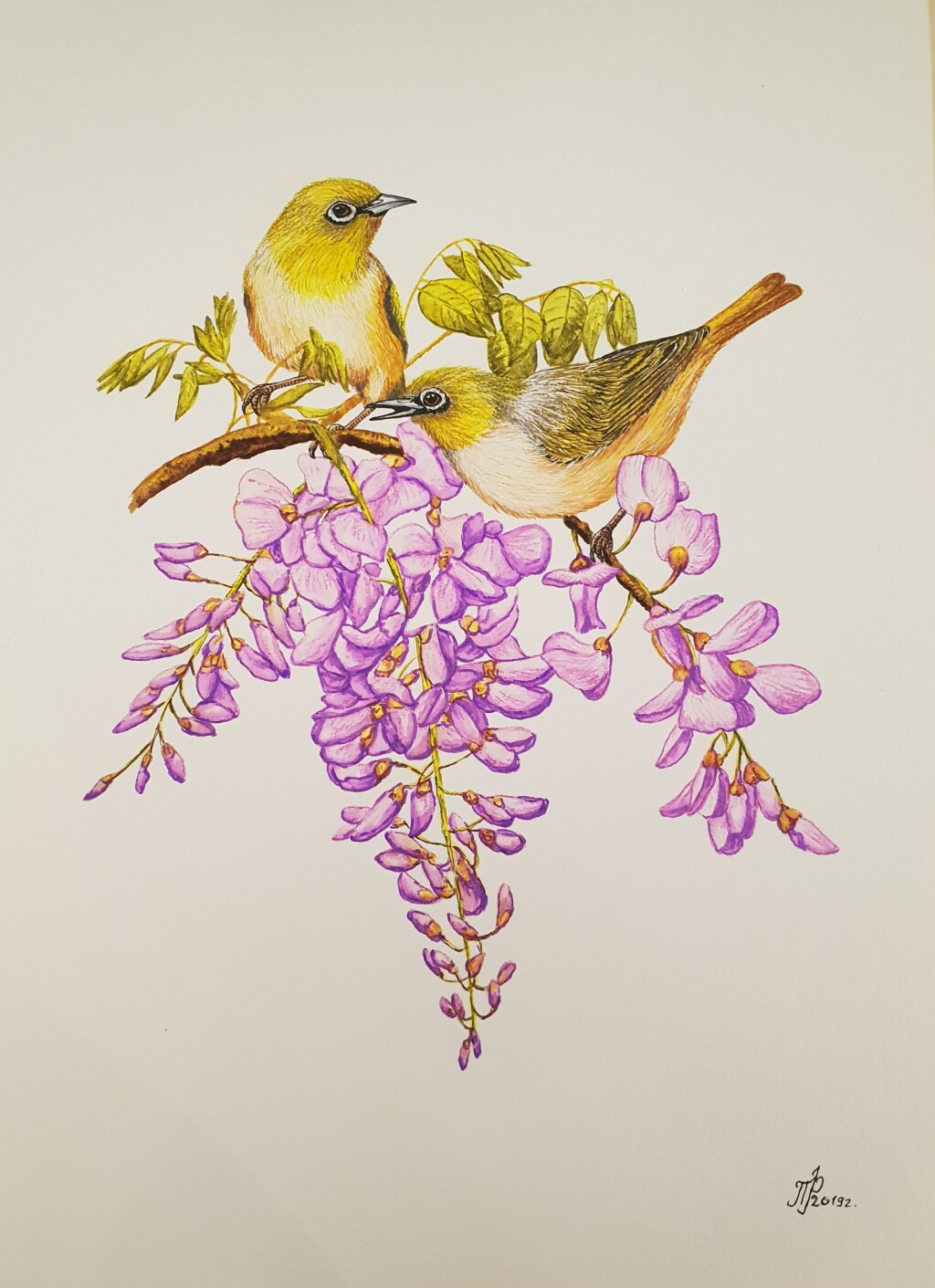 Немного нежности