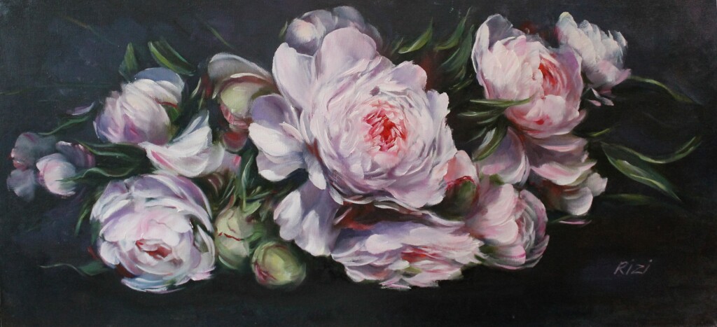 пионы вечерние