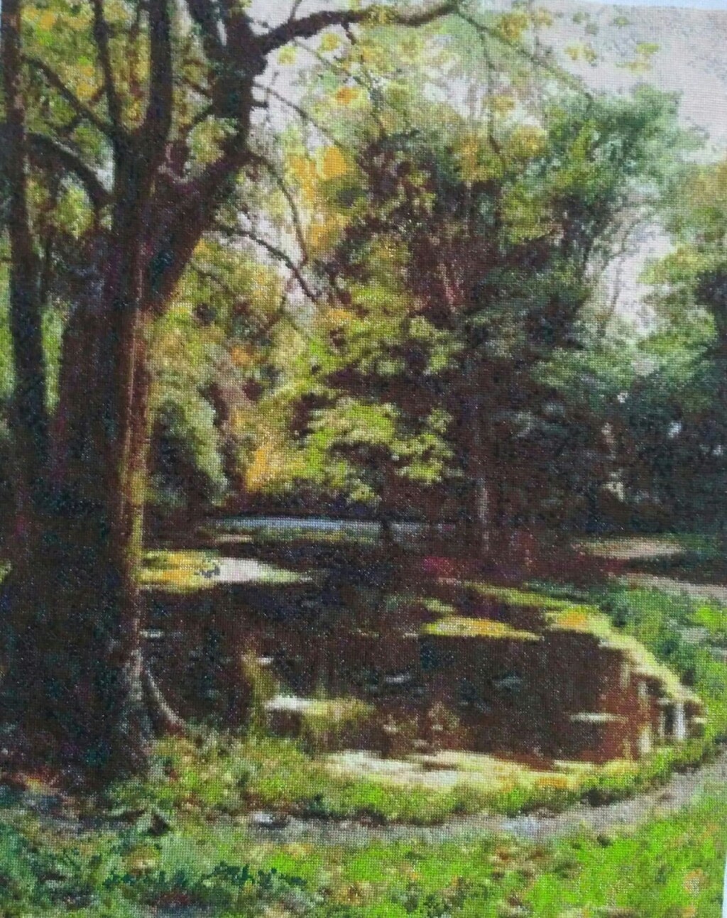 Лесное озеро