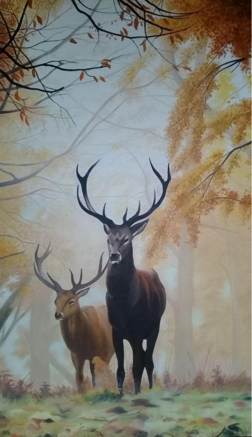 Осеннее утро