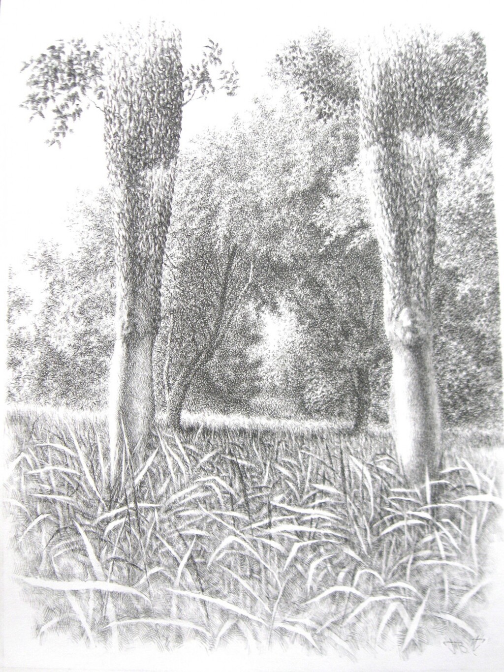 Ноги от природы