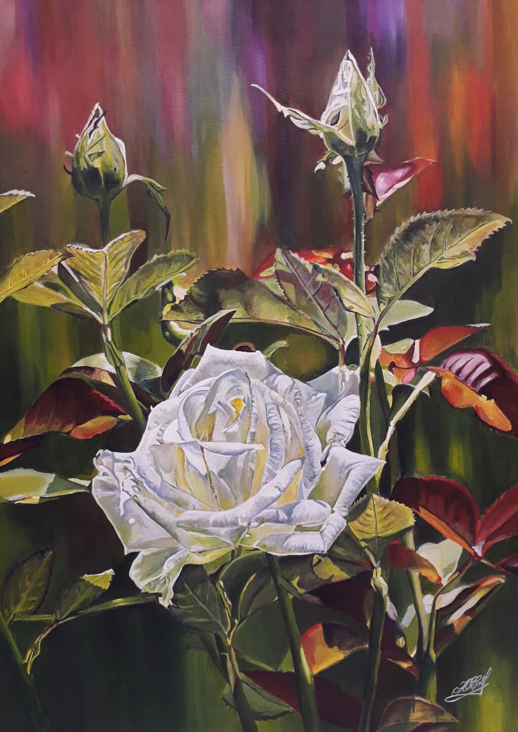 Роза в саду