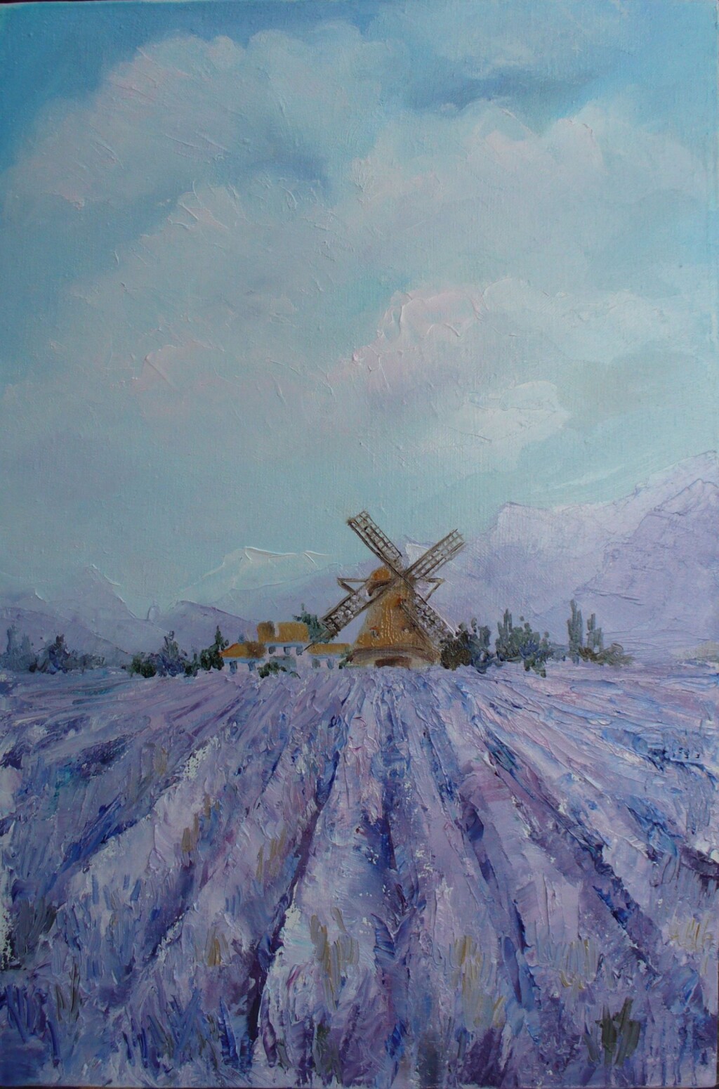 Над лавандовым полем...