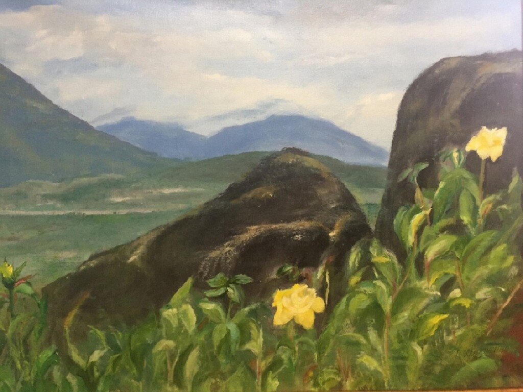 Розы на холмах