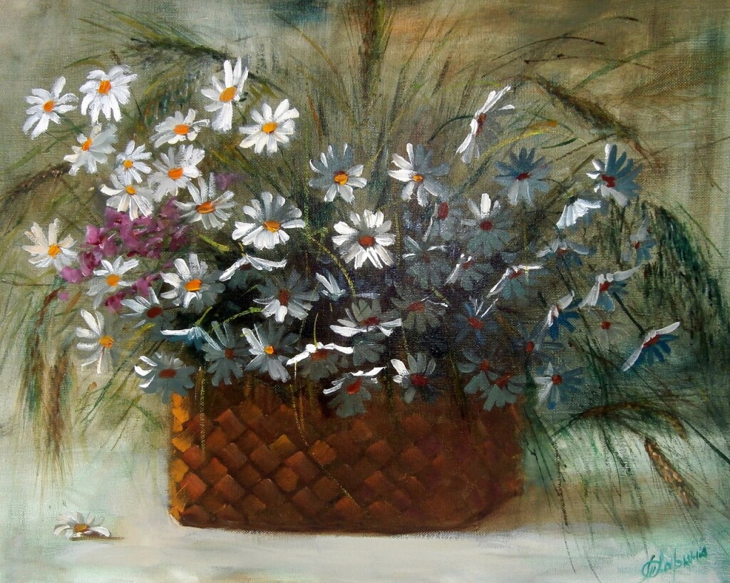 Крымские ромашки.