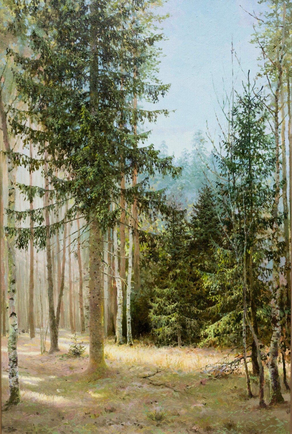 Край вырубки