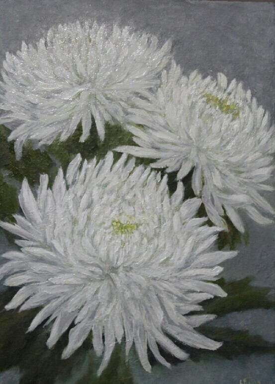 Хризатемы белые