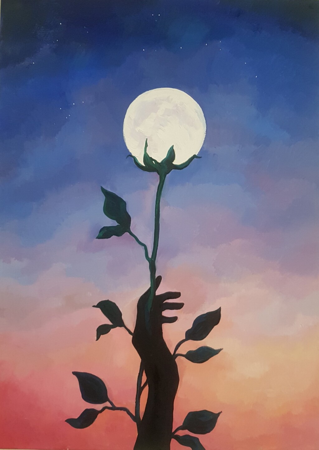 Вкус ночи. Роза