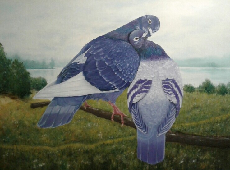 Любовь и голуби