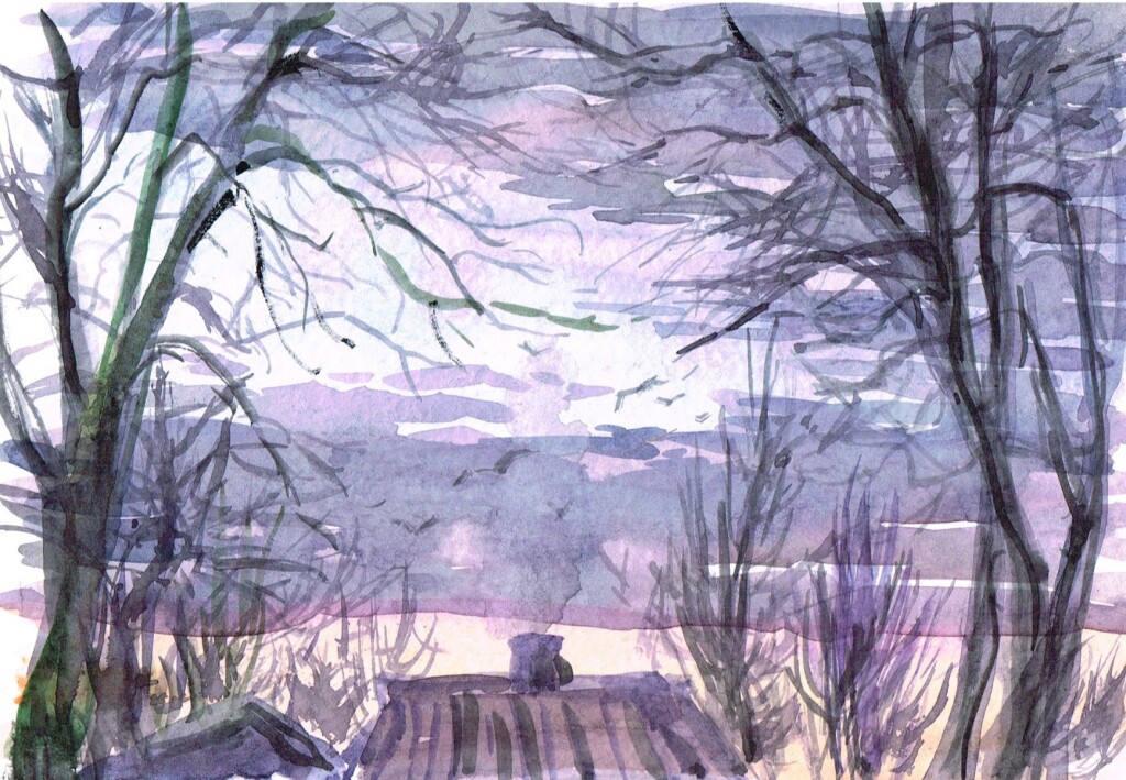 Вид из окна. Сумерки...