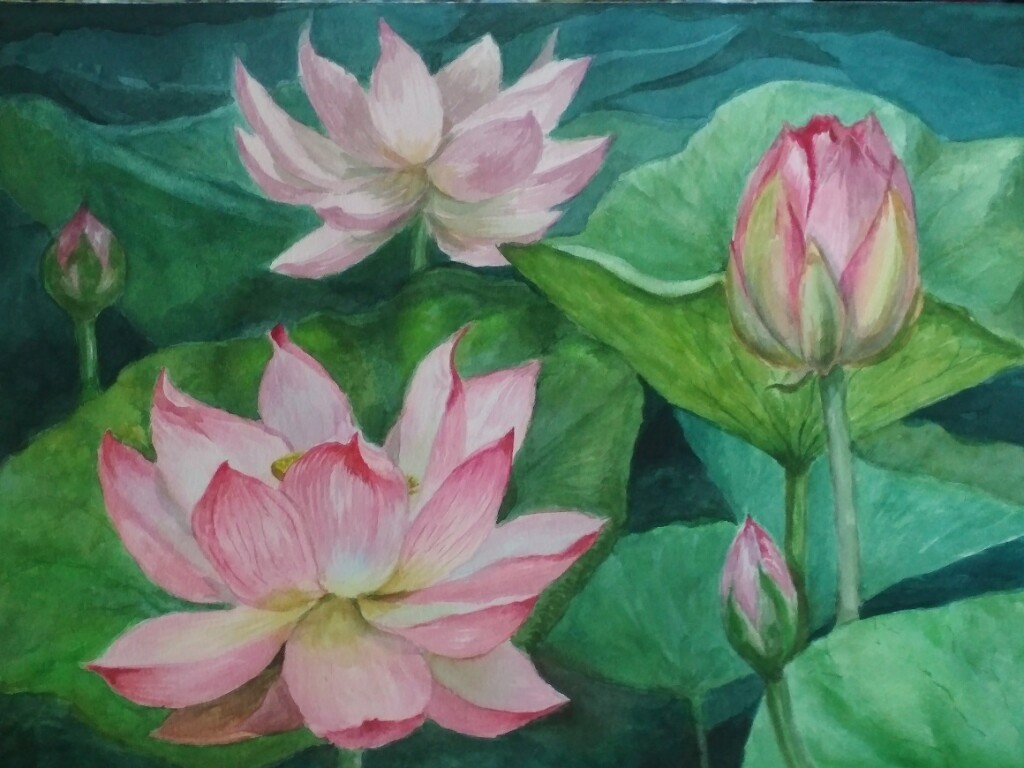 Лотосы России