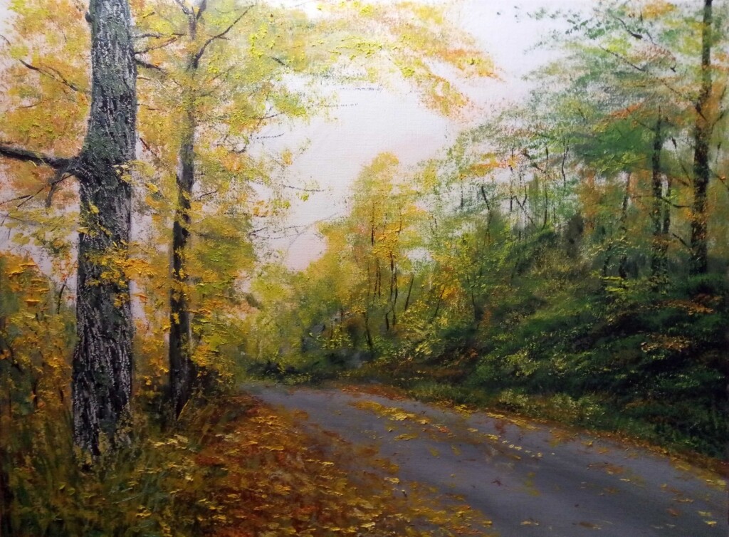 Дорога в лесу