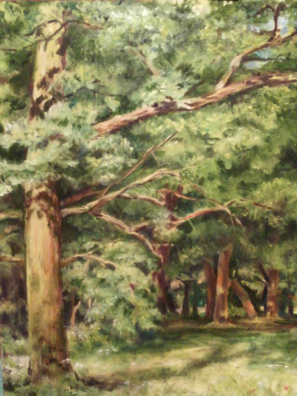 Вольная копия (фрагмент) картины Шишкина