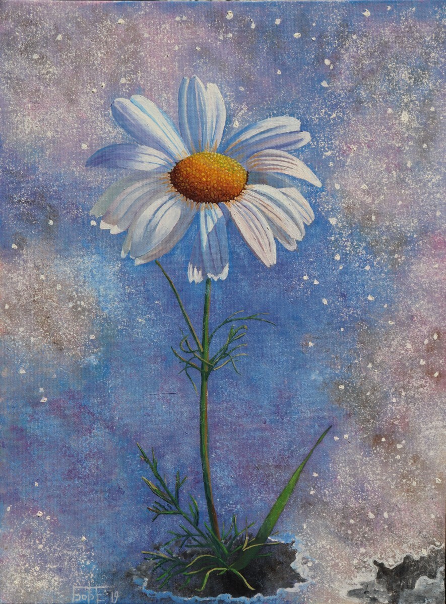 Ромашка на снегу