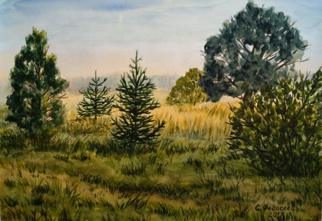 Луг, заросший деревьями