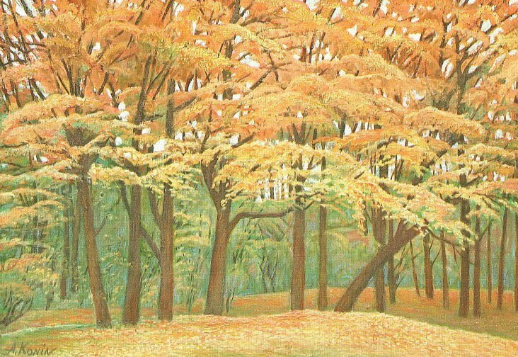 осень в парке