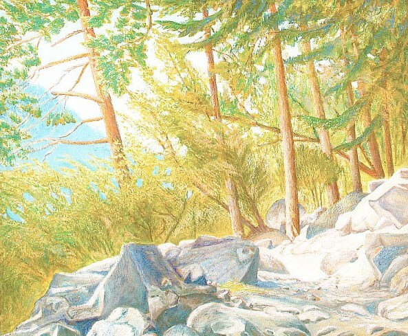 троп на шхельду