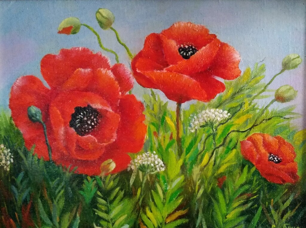 Красные маки