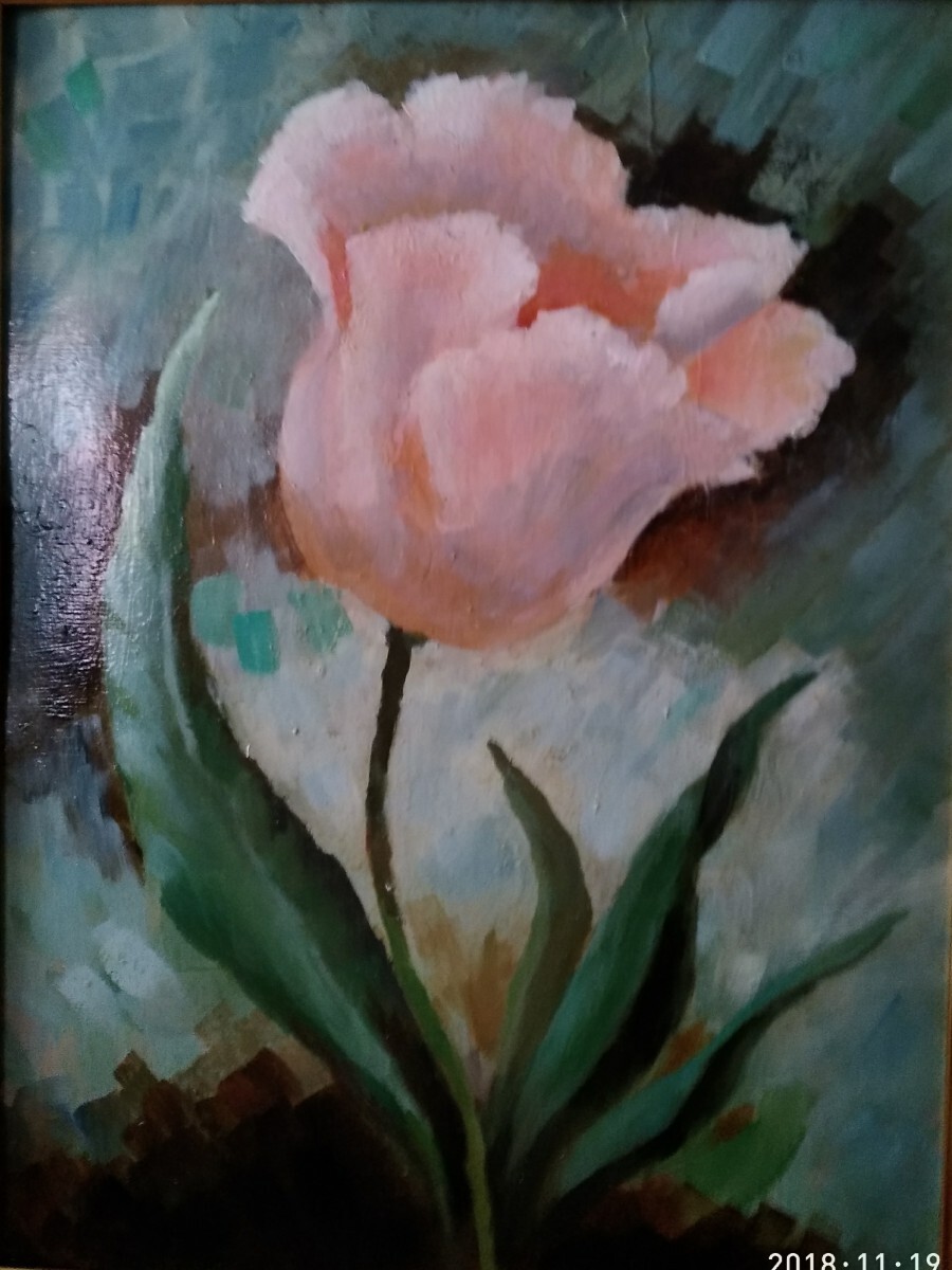 Розовый тюльпан