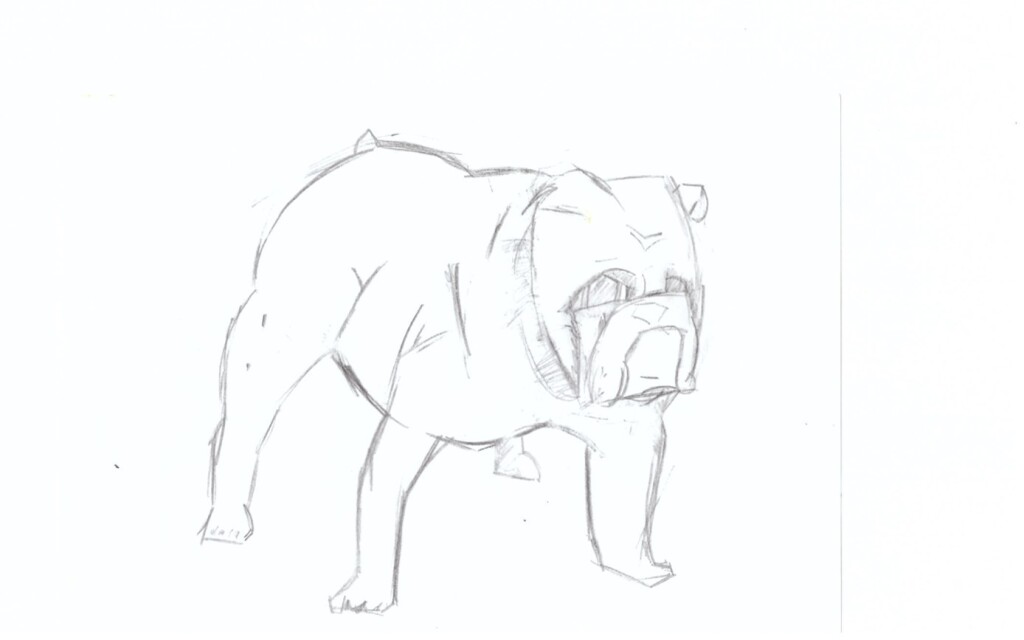 Английский бульдог