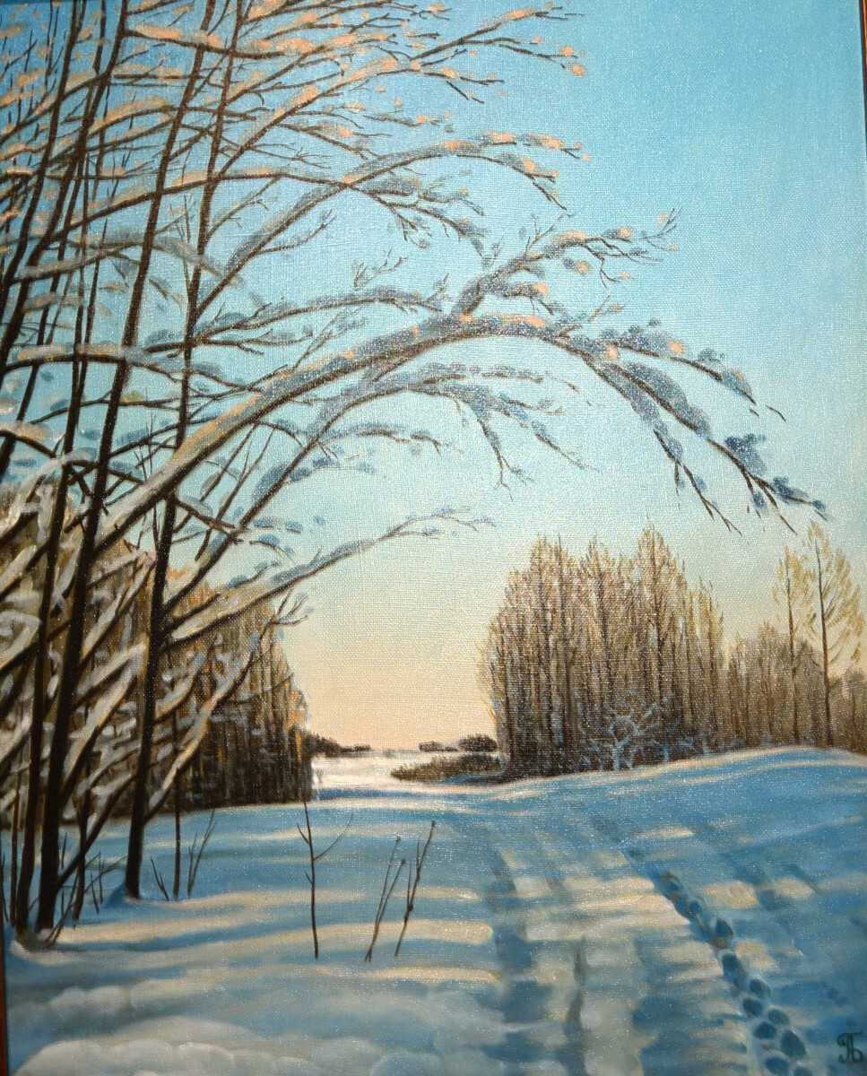 Зимняя дорожка