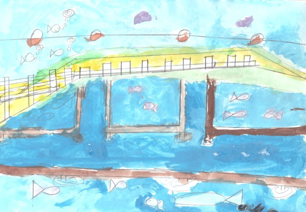 Рыбное хозяйство