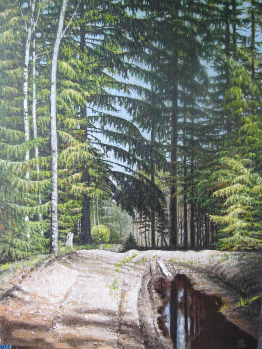 Дорога на Выборово