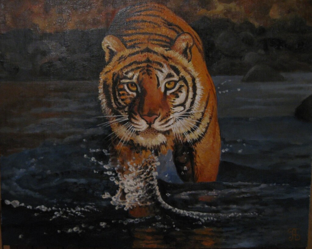 Амурский тигр