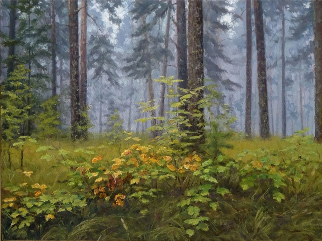 Туман в лесу