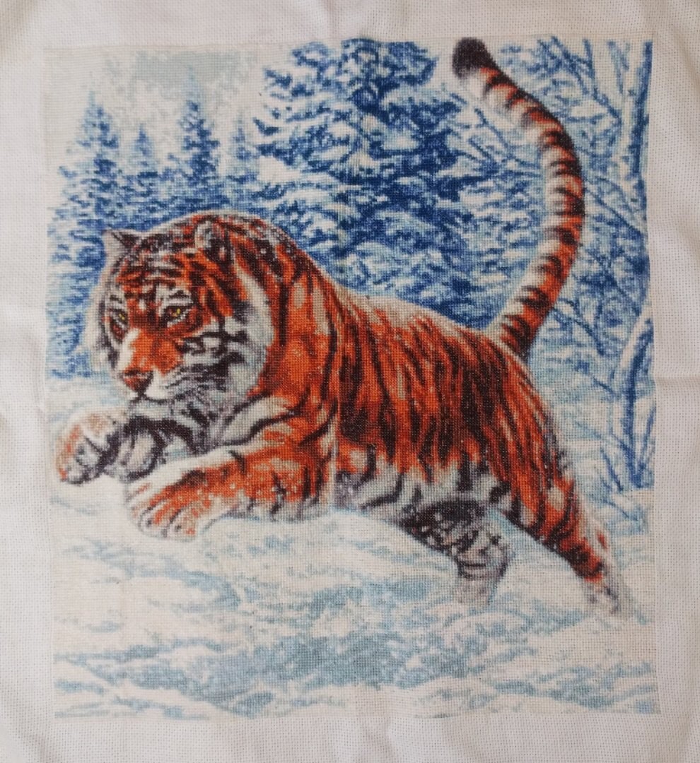 Прыжок тигра