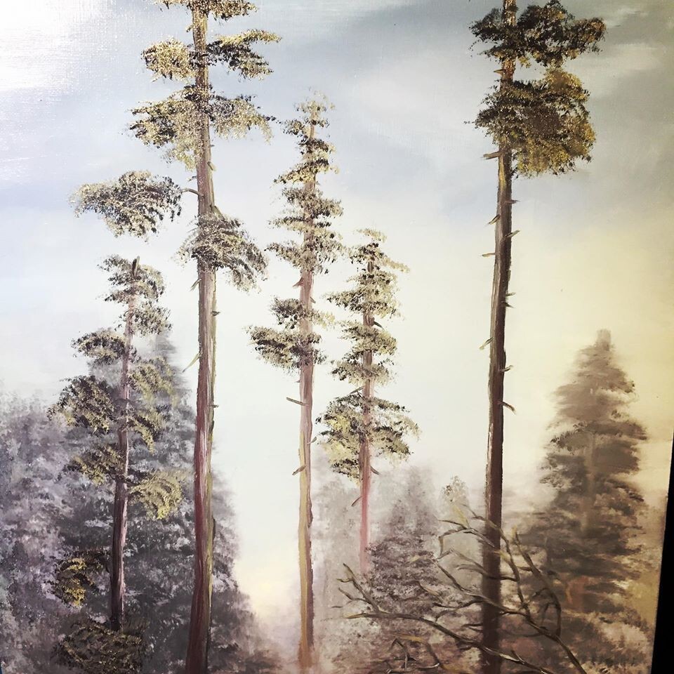 Сосны на заре