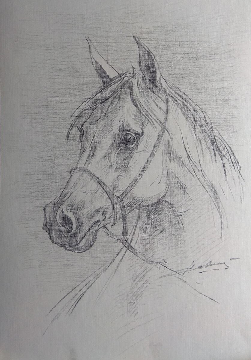 портрет лошади