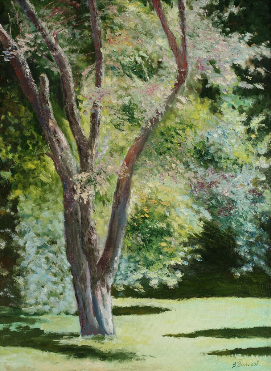 День радости