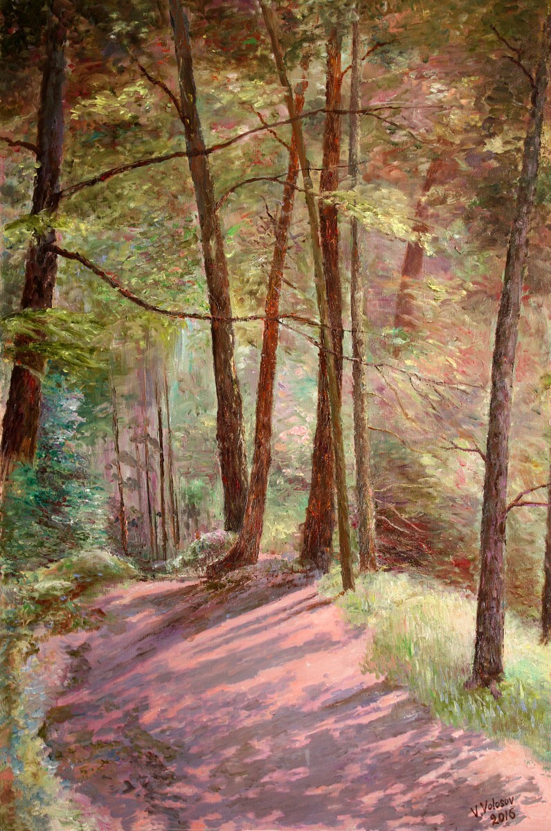 Солнечный лес