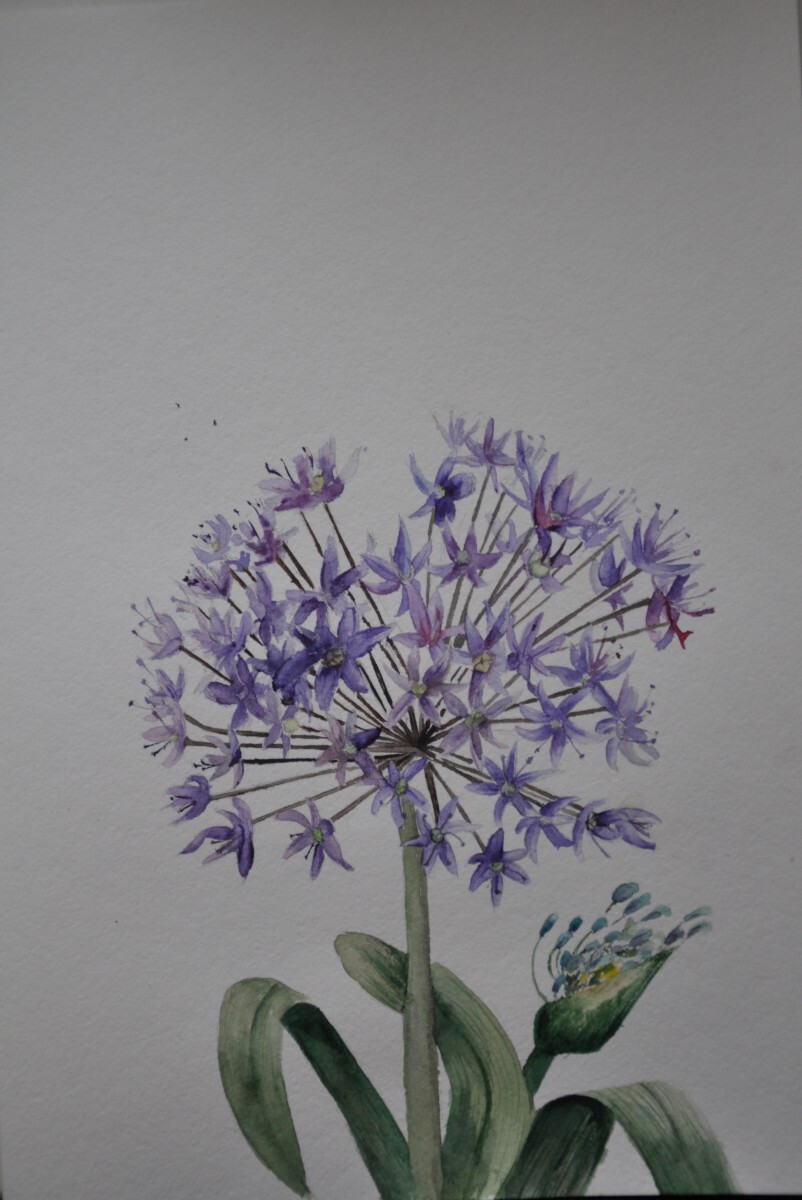 Декоративный лук