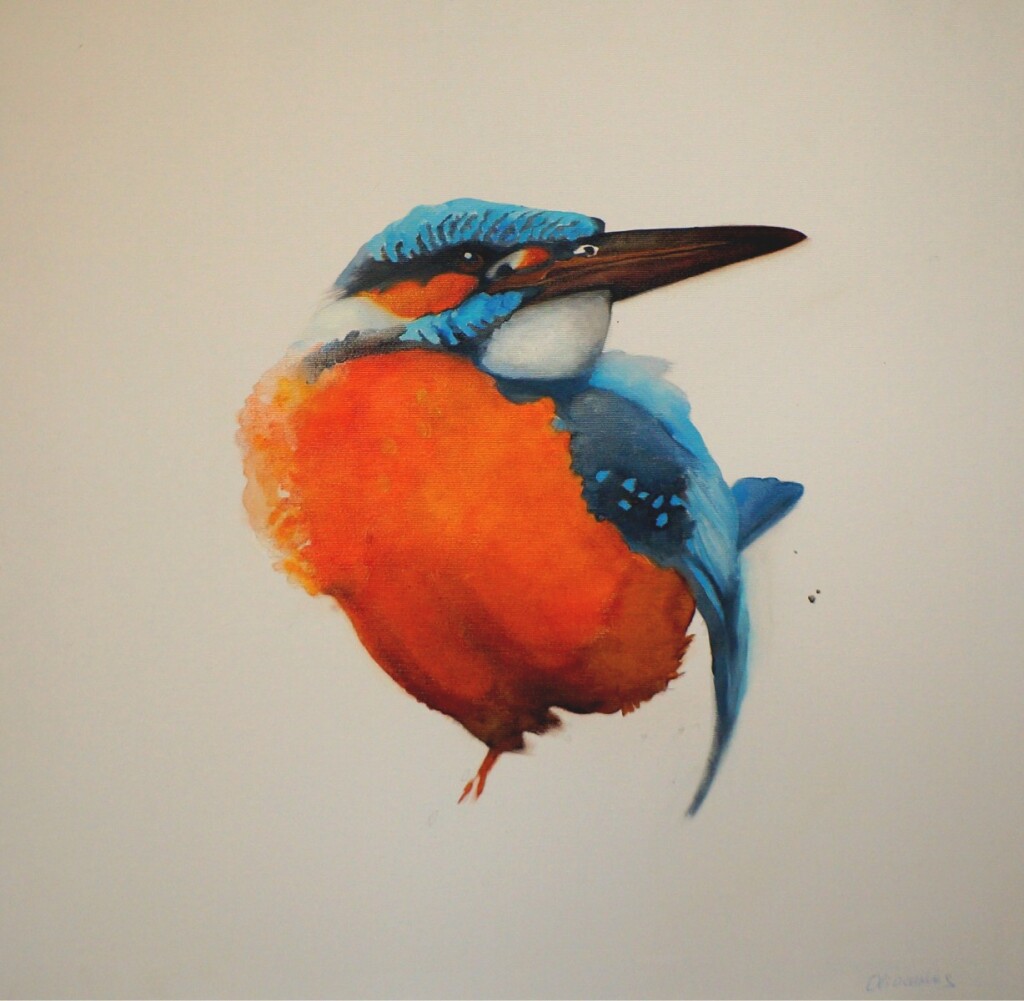 Райская Птица