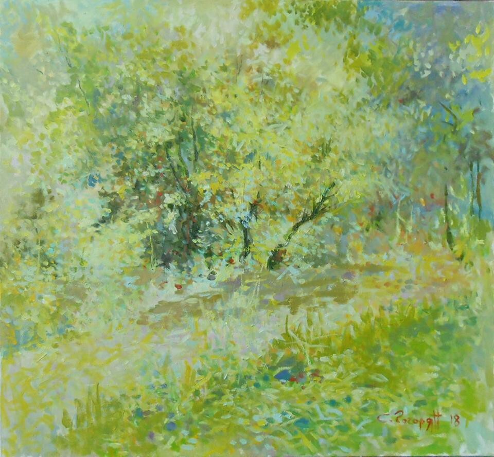 Деревья освещенной солцем