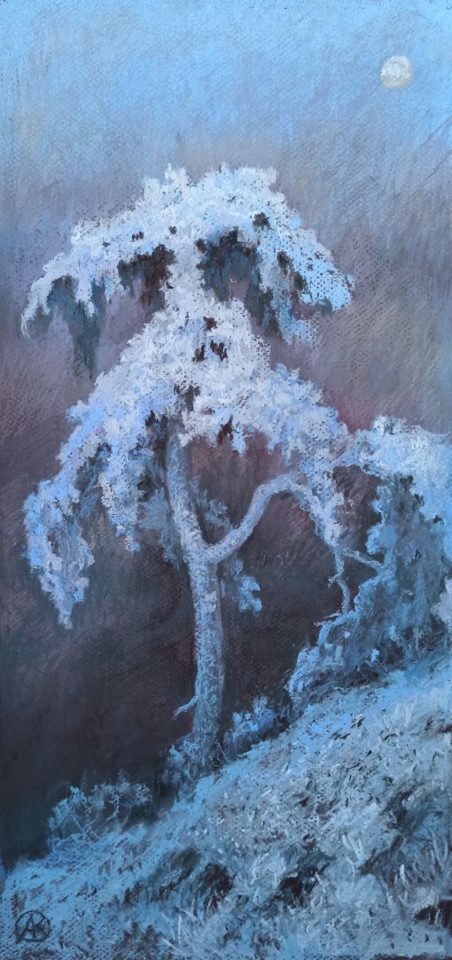 Зимняя ночь